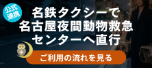 名古屋夜間動物救急センター